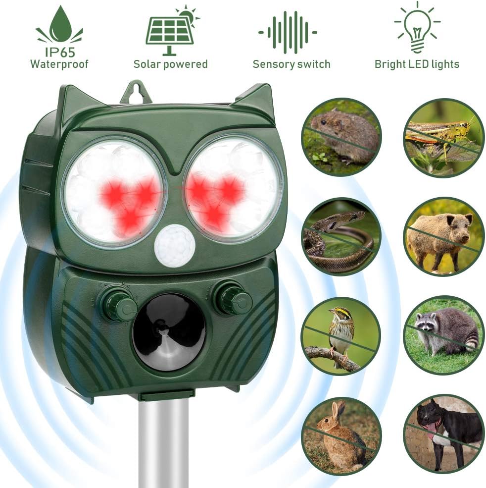 suono ad alta frequenza per cani