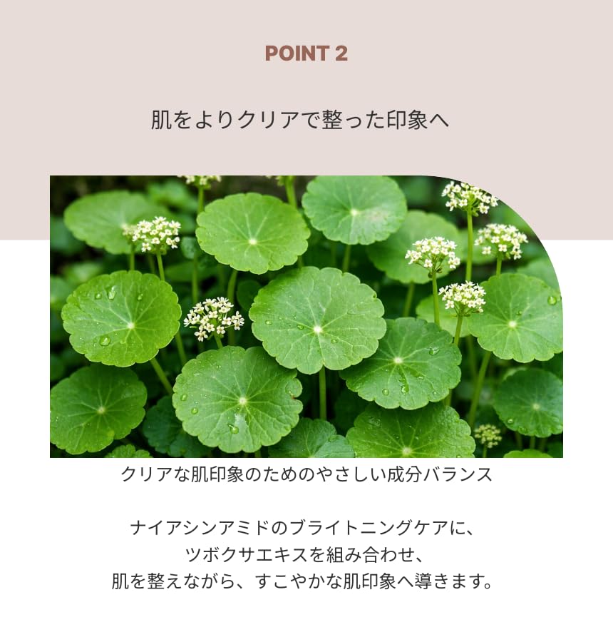 Amazon.co.jp: 【韓国正規品】デュベロ(DEWVERO) 4 FEEL パッド 1BOX