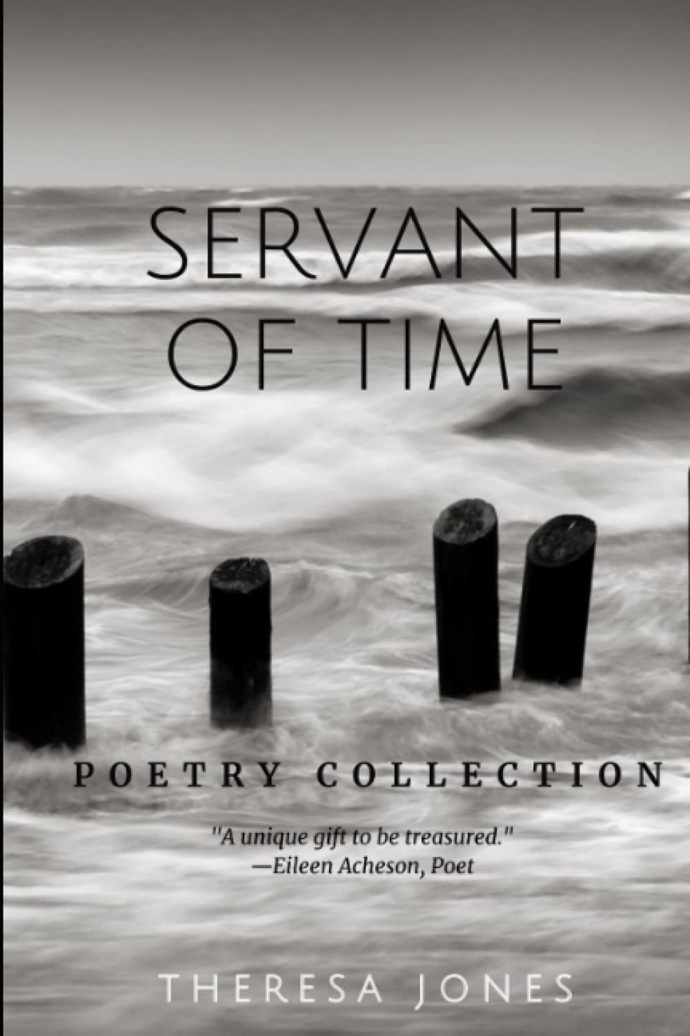 Servant of Time: Poetry Collection