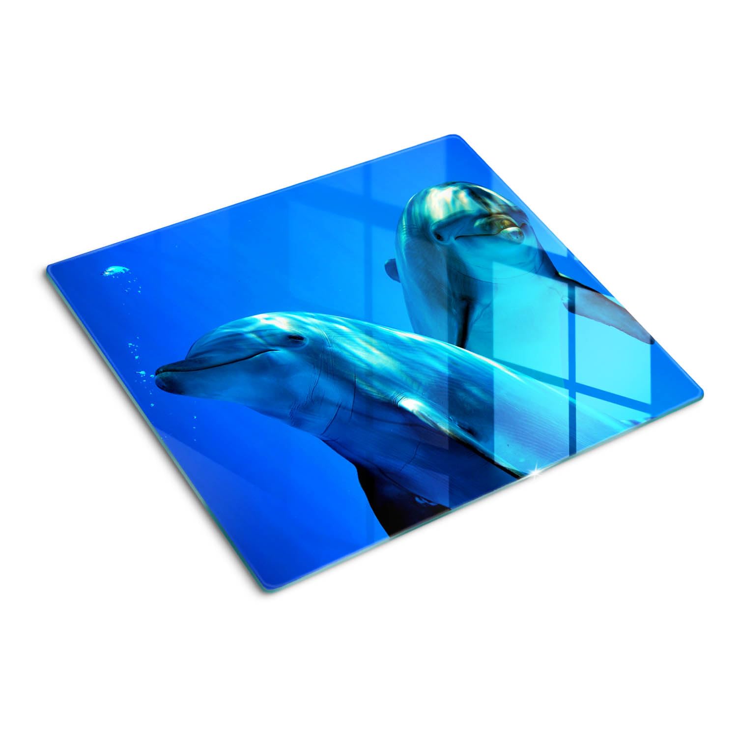Planche à découper 60x52 cm symétrique impression deux dauphins pour plaque de cuisson