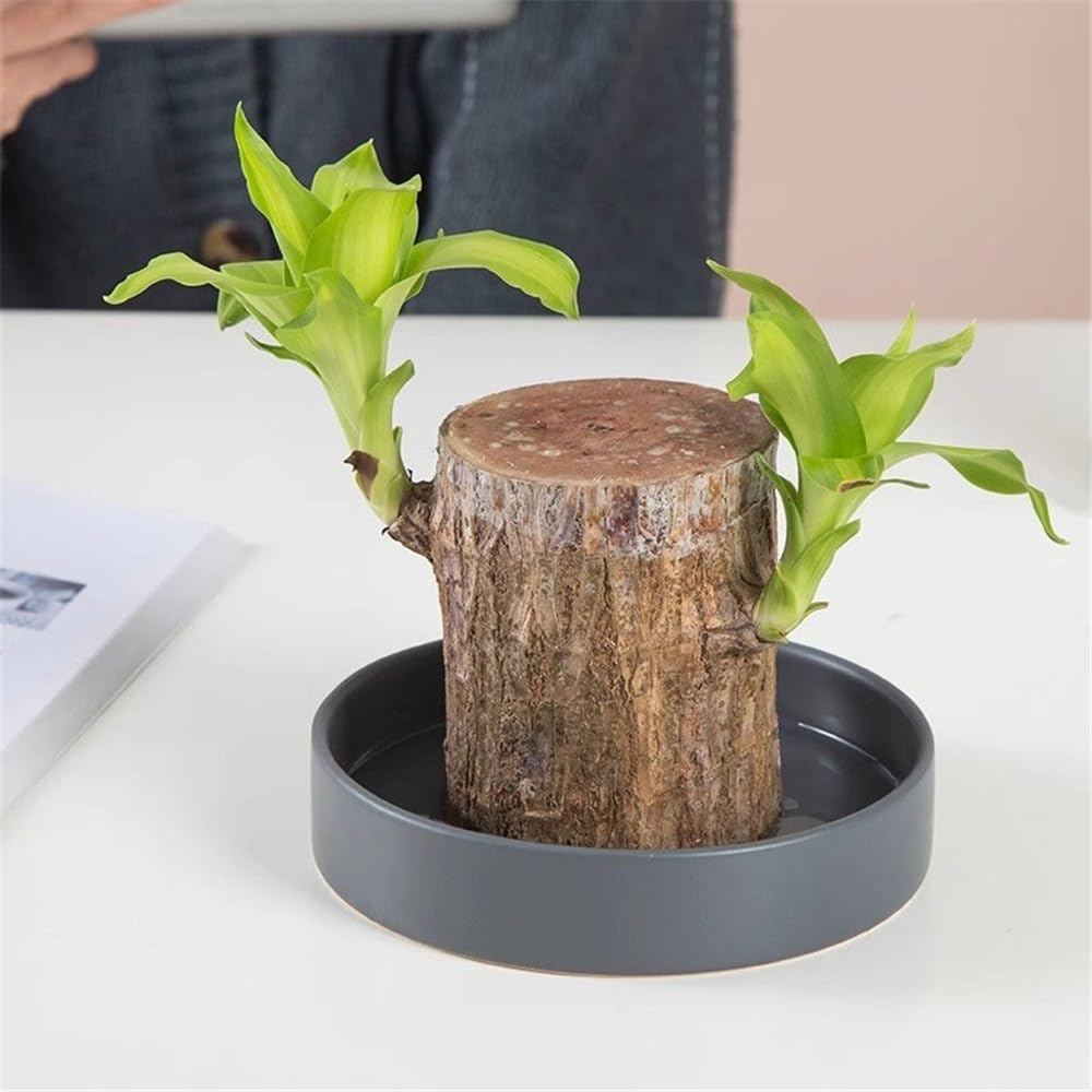 Versatile Piattini in Ceramica for vasi da Fiori con Vassoio antigoccia Rotondo(Grijs,M)