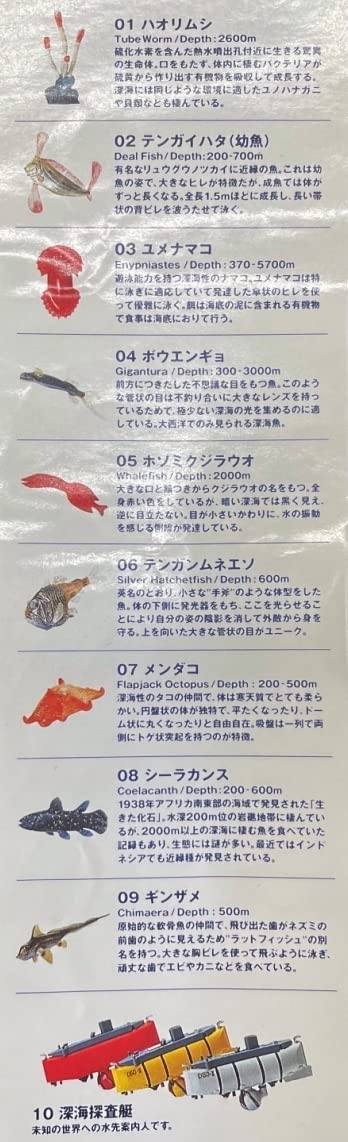 Amazon | 〓海洋堂〓MIU ダイドー深海生物 フィギュアコレクション2