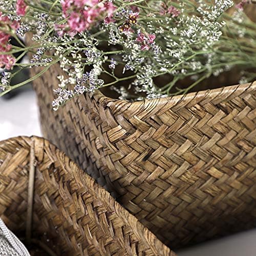Sumnacon Set of 3 Natural Seagrass Natural Nesting Storage Baskets Handwoven Wicker Storage Bin Home Dried Flower Organizer Bins Countertop Baskets for Pantry Bread and Fruit Serving (Coffee)