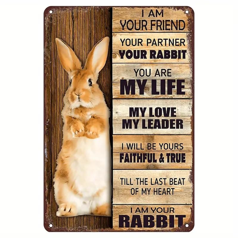 Gifts For Rabbit Lovers, I Am Your Rabbit, Easter Bunny Rabbit Metal Signs, Easter Gifts For Families Friends, Rabbit Easter Tin Signs, Wall Art Interior Decoration Metal Tin Sign 6x8 Inch