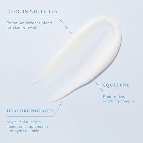 Miniatura 10 de DERMAdoctor Calm Cool + Corrected Crema facial con vitamina C formulada por dermatólogos con ácido ferúlico + aceite de vitamina E hidratante de