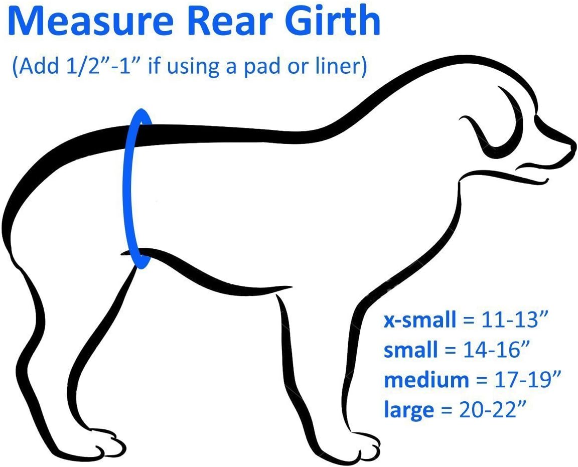 Premium Belly Band for Male Dog Incontinence and Housebreaking (Zebra Print) (Medium 17-19 inches)