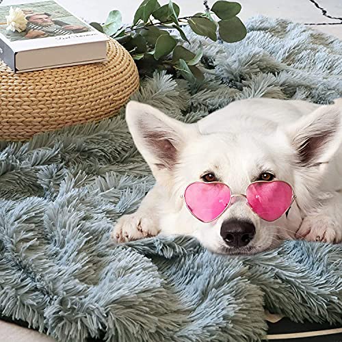 Decorative Extra Soft Faux Fur Blanket Twin Size 70"X78",Solid Reversible Fuzzy Lightweight Long Hair Shaggy Blanket,Fluffy Cozy Plush Fleece Comfy Microfiber Fur Blanket For Couch Sofa Bed,Light Gray #TOP6