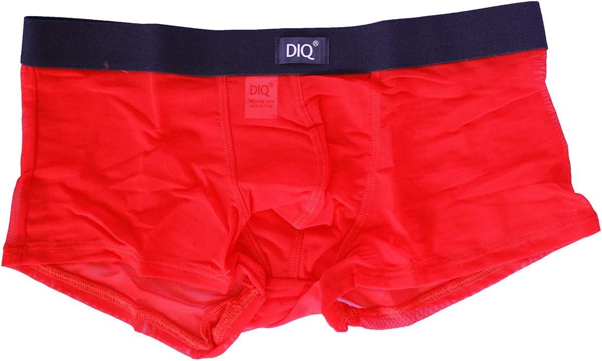 DIQ Men's See Through Underwear Tease Trunk