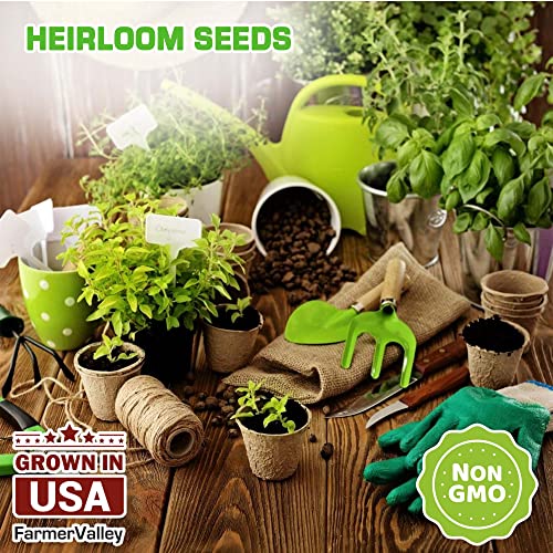 12 Heirloom Culinary And Medicinal Herb Seeds For Planting - Non Gmo, And Usa Grown - Variety Pack For Indoor, Outdoor And Hydroponic Garden - Сhives, Cilantro, Dill, Italian Parsley, Basil, And More #TOP3