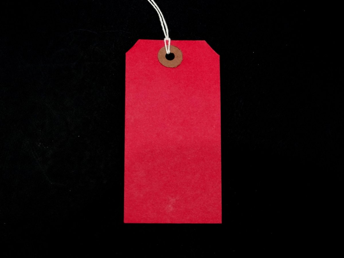 Red Strung Tags 120mm x 60mm Reinforced Luggage Labels Tie On String Tag (50 Pack) Ivy