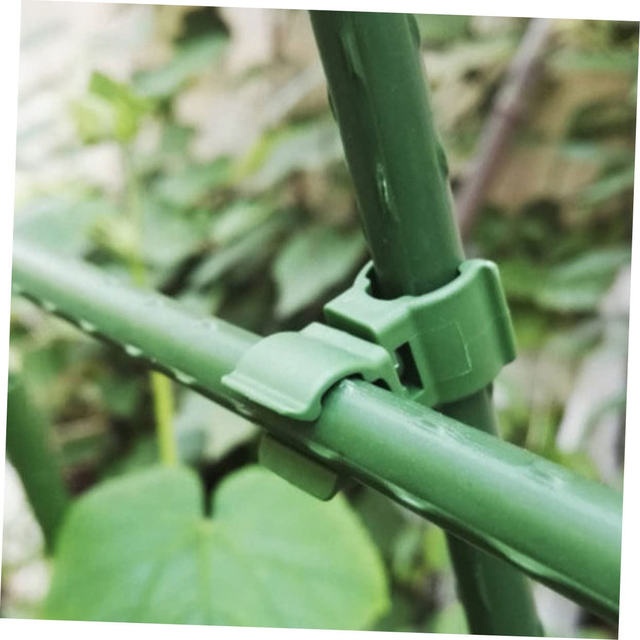 Didiseaon 5 Set Supporto per Rampicanti Accessori per Dispositivi di Estrazione Supporto per Piante in Rattan Legare Il Filo Traliccio da Giardino con Traliccio Clip per Piante da 50 Pezzi*5