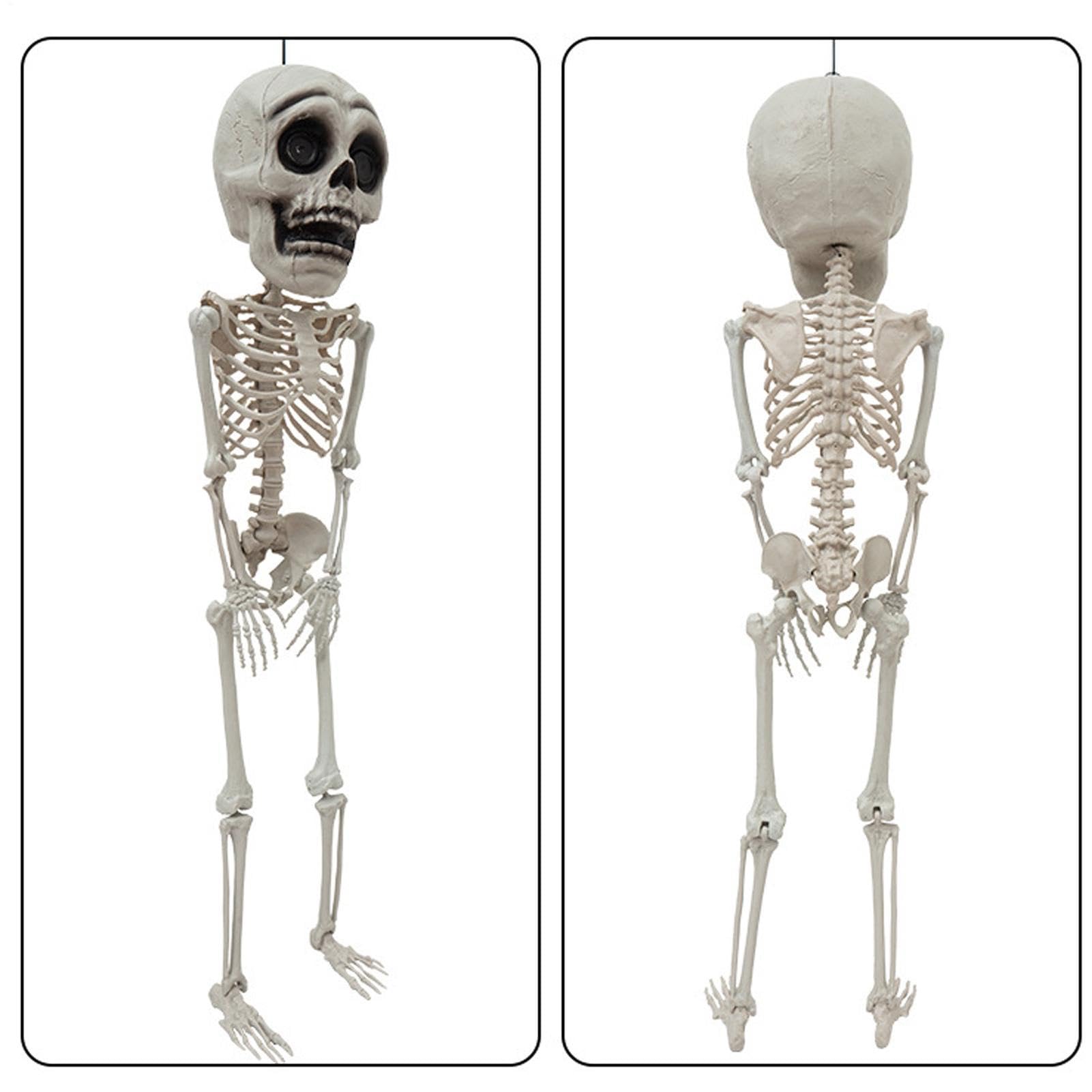 Szkielet Dekoracyjny 105 cm Realistyczna Figurka z Ruchomymi Stawami | Straszny szkielet halloweenowy do Nawiedzonego Domu, Ogrodu, Podwórka, Patio, Ganku, Tarasu, Dziedzińca, Imprezy i