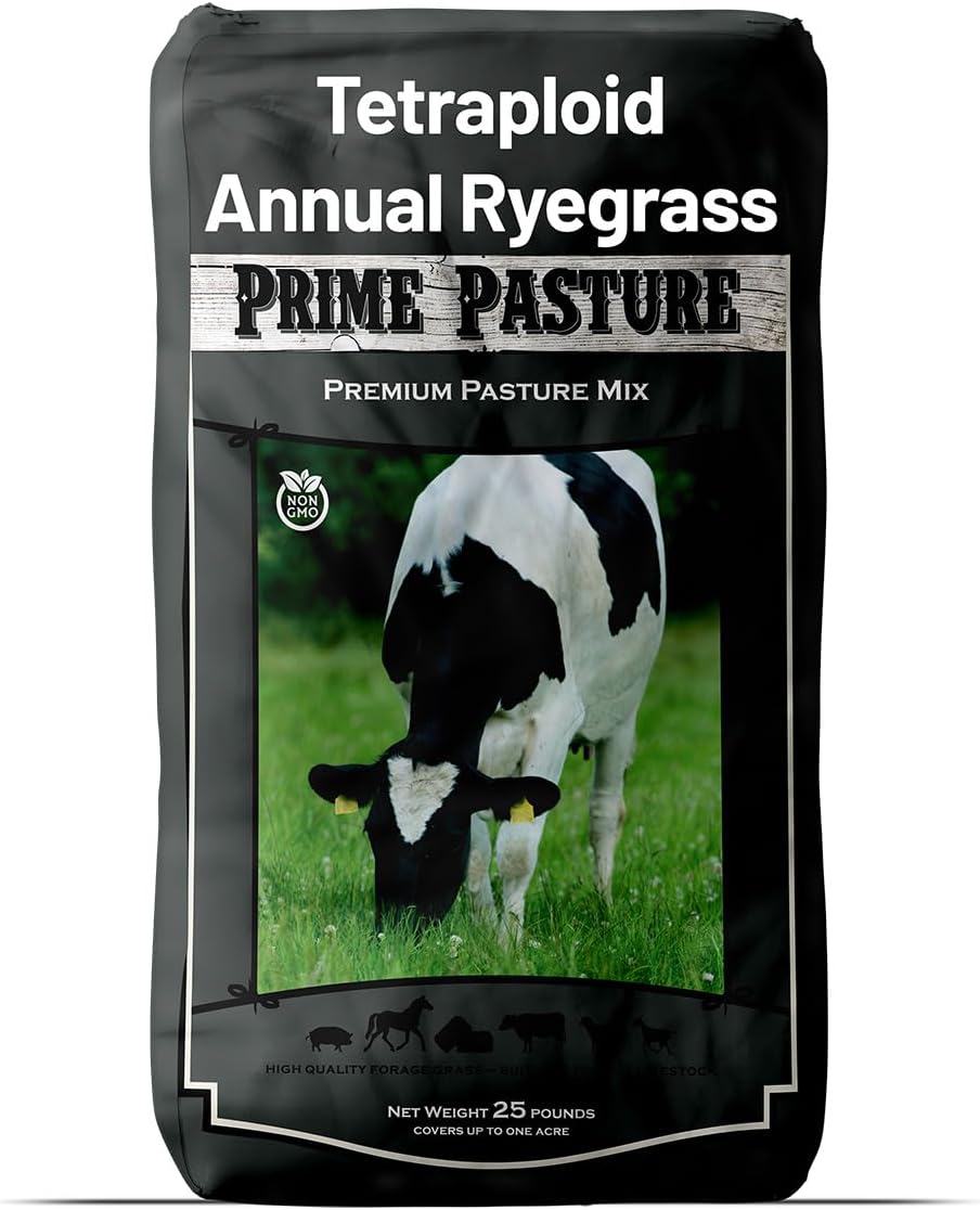 Outsidepride Ryegrass Seeds - 25 lb. Annual, Hardy & Fast-Growing, Cover Crop Seeds for Planting Glossy Dark Green Grass Leaves, Ideal for Hay Foraging, Pasture Grazing & Erosion Control