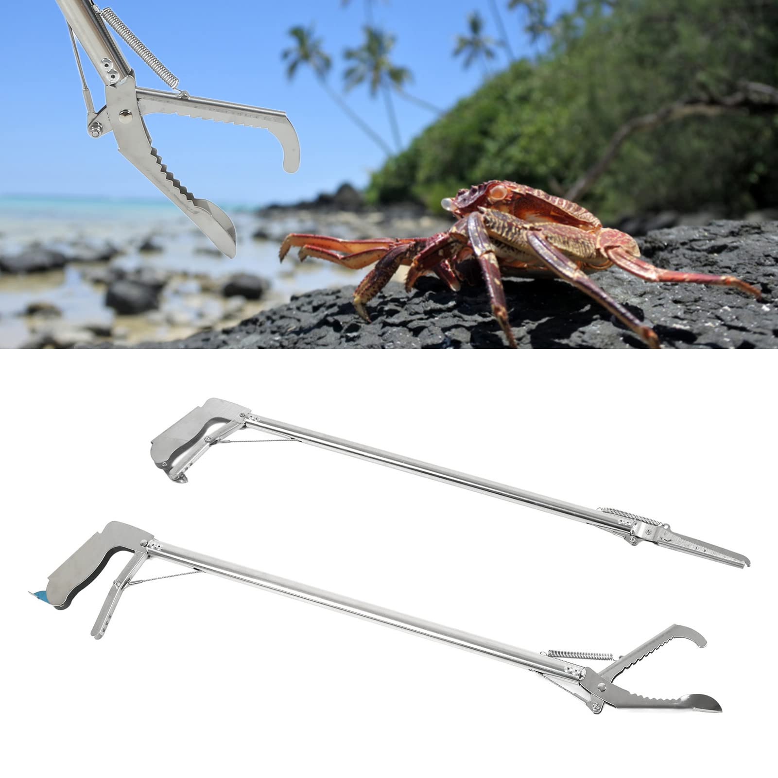 Pinces à Crabe en Acier Inoxydable, Pinces à Poisson Portables De 30 Pouces Pince à Poisson Longue en Acier Inoxydable pour Fruits De Mer Au Crabe
