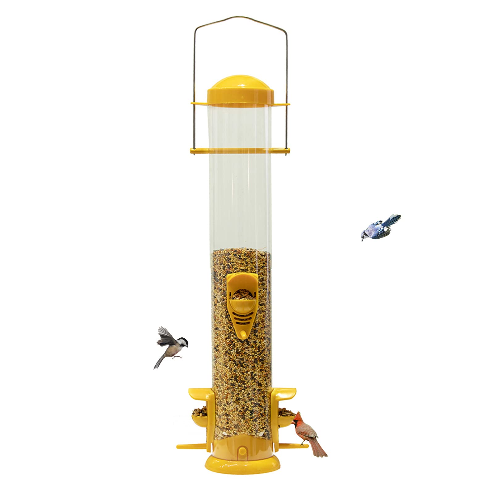 Buy Nature's Rhythm Hanging Classic Tube Wild Bird Feeder Premium Hard