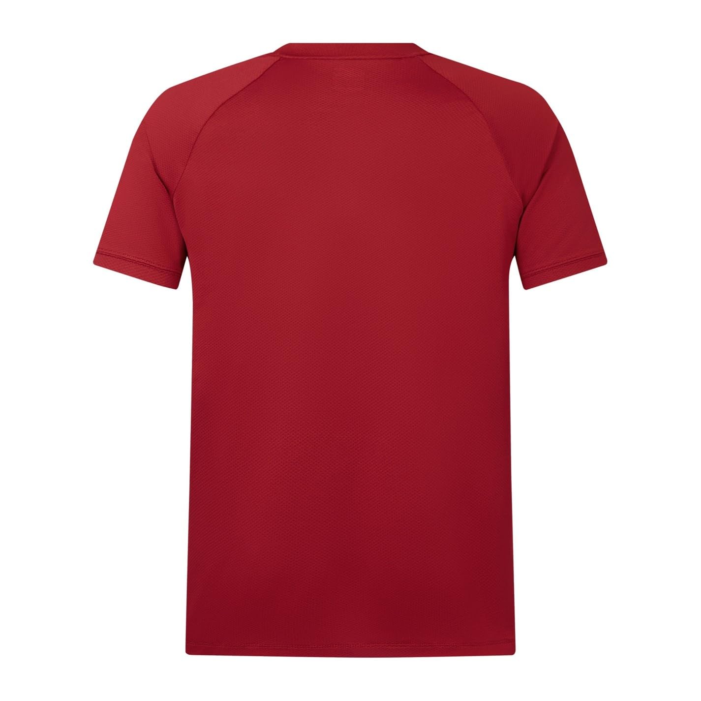 Canterbury Męska koszulka polo, brytyjskie i irlandzkie lwy, czerwona dalia, 3XL