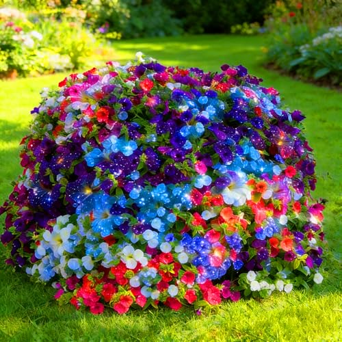 Mixrug Climbing Petunia Seeds for Planting 300pcs Rare Perennial Wave Night Sky Petunia Flower Seeds Plants Non-GMO Heirloom Hummingbird pollinates Flowers Plants for Home Garden Outdoors