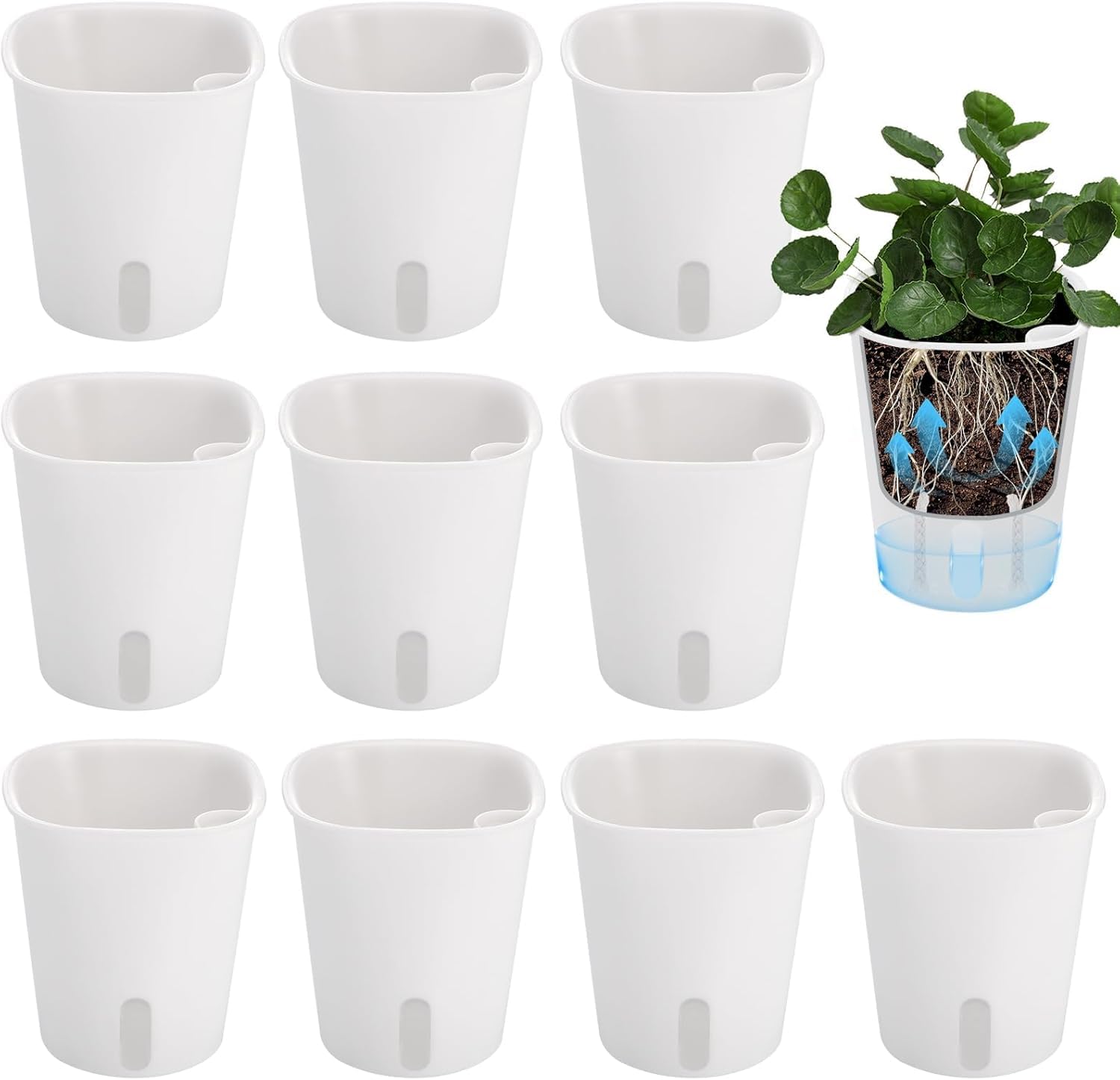 Maceta Plástico Autorriego, 10 Piezas Ronda Macetas con Ventana Nivel Agua, 9.5cm Maceteros Hierbas, Jardineras Decorativos para Interiores Exteriores