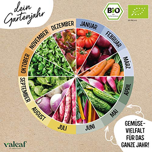valeaf BIO Gartenjahr Samen Set I Gemüsesamen das ganze Jahr I 12 Monate Samen Gemüse I Gemüsesamen Set für Hochbeet… – Bild 6