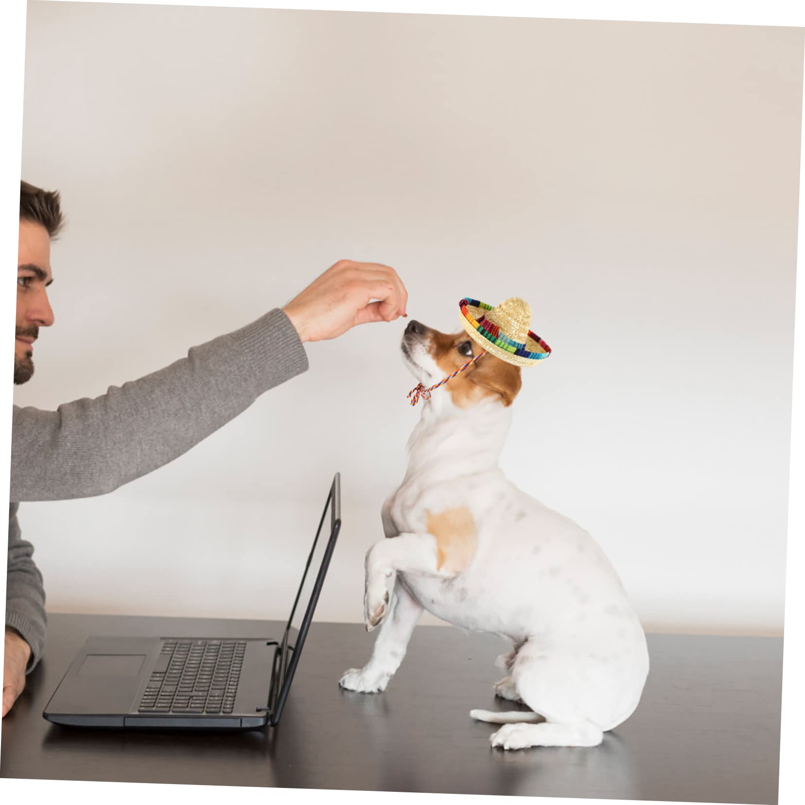 TOYANDONA 10piezas Sombrero para Mascota Cómodo y Ajustable para Perros y Gatos Diseño Decorativo para Fiestas y Eventos De Verano Sombrero para Cachorro Estilo Mexicano Protección Solar Par