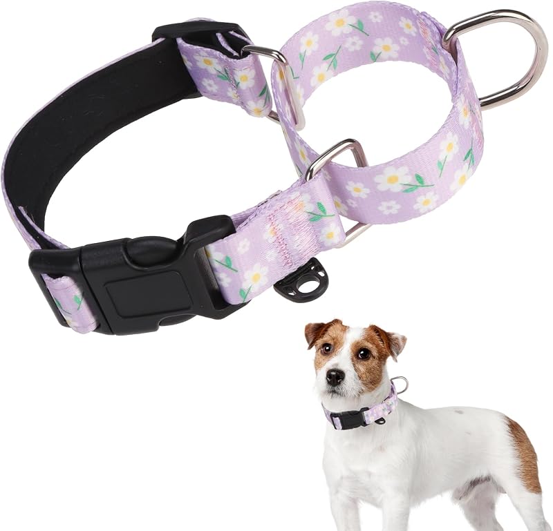 Coleira Martingale para Cães com Nylon Acolchoado e Fivela KOOLTAIL, Roxa, M