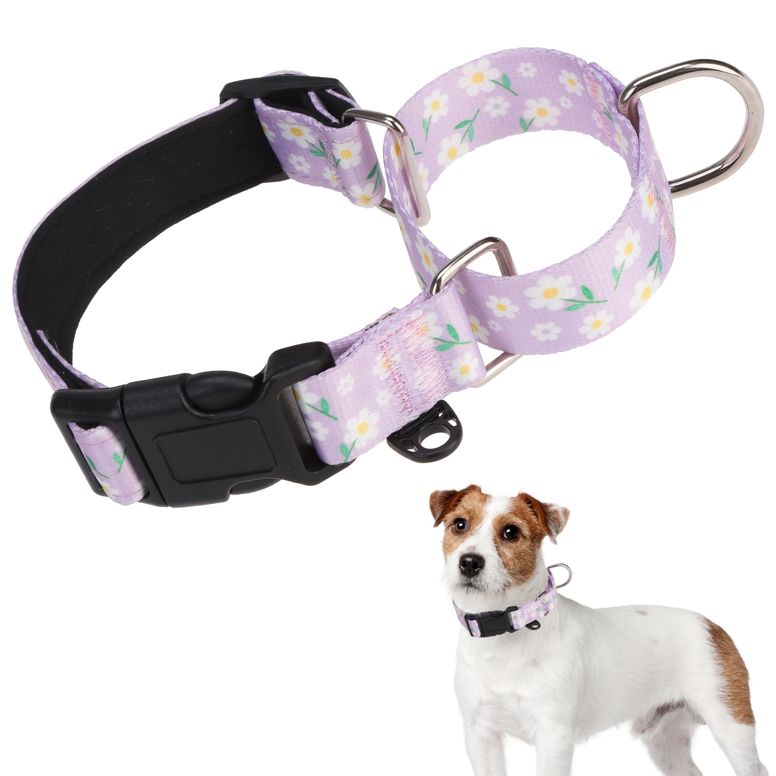 KOOLTAIL Martingale Collar for Dogs for Small Medium Large Dogs, Soft Padded Nylon No Pull Dog Collar with Buckle, Adjustable No Slip Heavy Duty Durable Puppy Training Collar for Boys Girls, Purple M