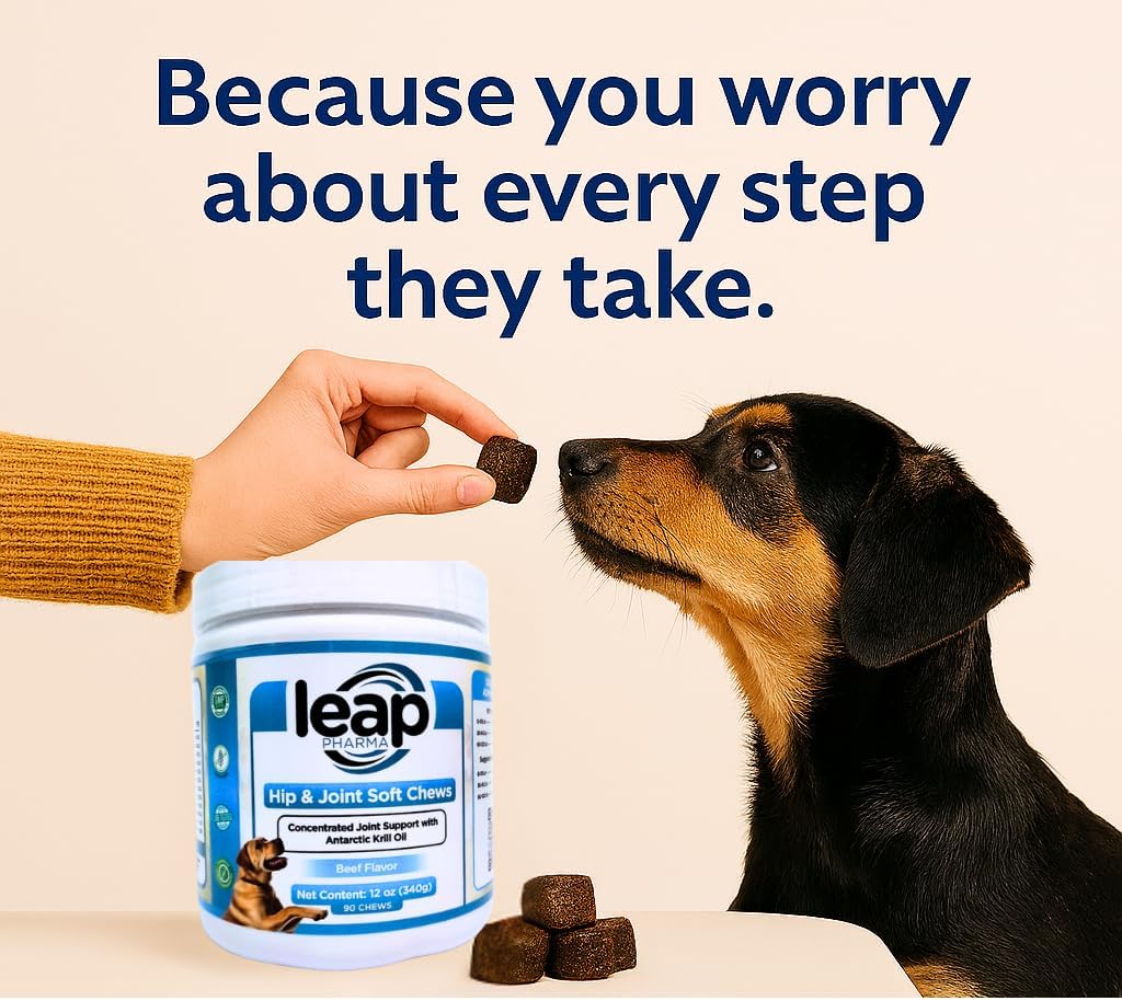 Dogs Suplements Hip & Joint - Krill Oil and Glucosamine Soft Chews, Joint Supplement for Dogs with Krill Oil,Glucosamine, Chondroitin, MSM, Turmeric, Anti Inflammatory, Mobility (Beef 90ct)
