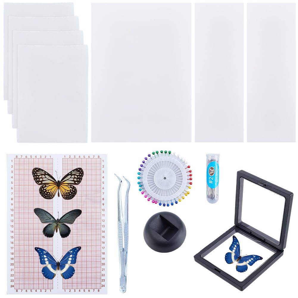 CRASPIRE Insektenpräparat Set Entomologie Präparatewerkzeug EVA Platte Stecknadel Pinzette Plastikbox Flügelpresspapier Präsentationswerkzeuge Set Zum Konservieren Und Präsentieren von Schmetterlingen