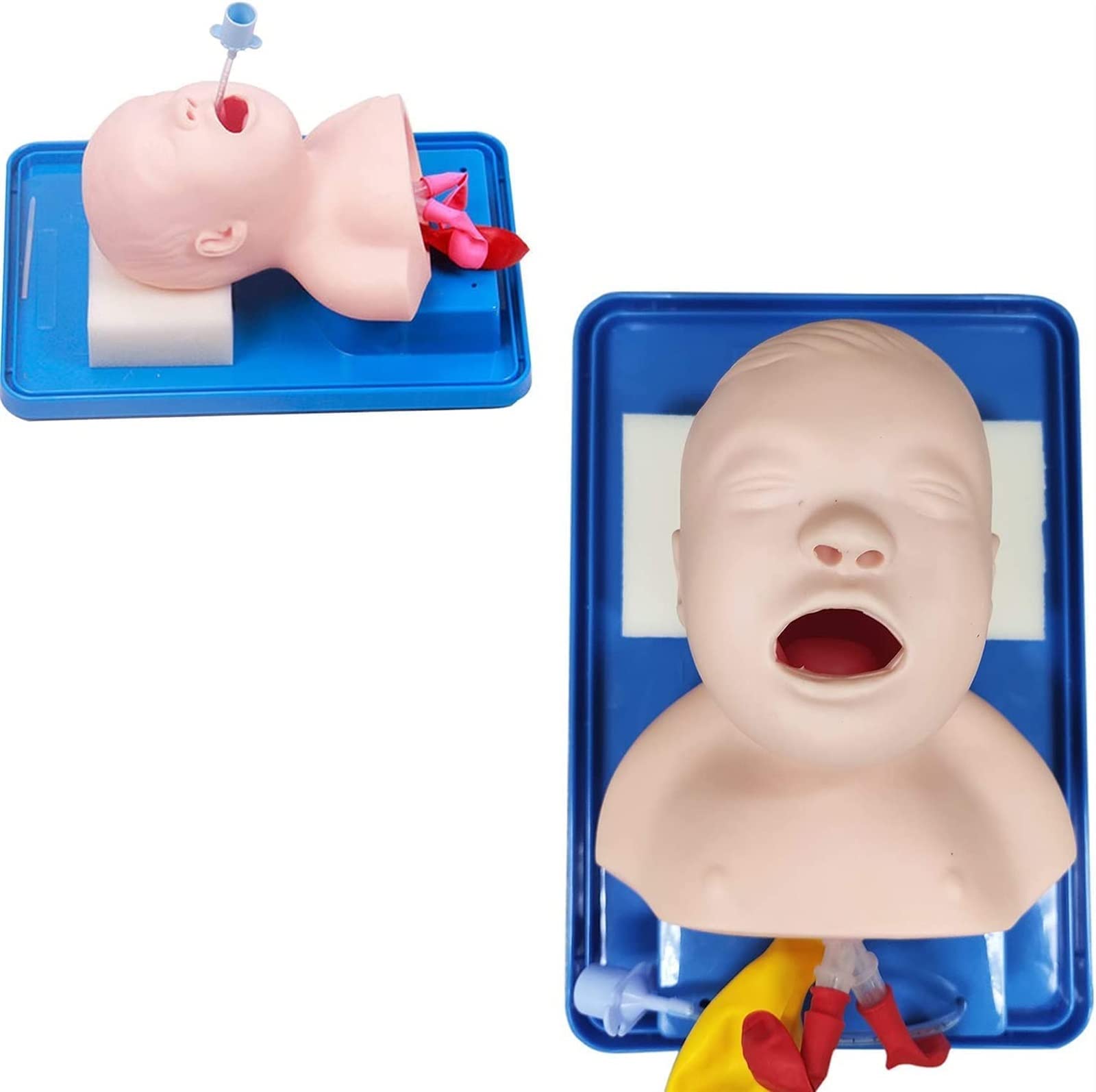 WlP Intubazione tracheale avanzata Modello PVC Intubazione pediatrica Manichino Tracheal Child Airway Trainers Nurse Lab Intubazione endotracheale Insegnamento