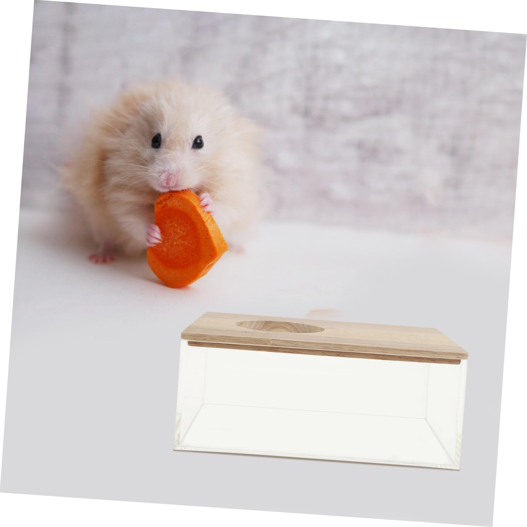 Milisten Transparente Hamsterbadewanne mit Sandbad und Praktischem Design