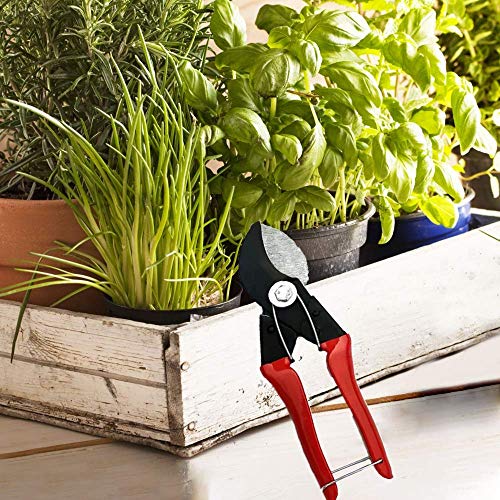 FADMAN Home Gardening Tool KIT (Garden Fork, Cultivator/Hand RAKE, Double Cut Pruner)