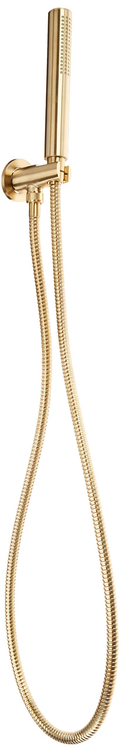 Pfister LG16-2NCBG Contempra 3-Piece Handshower, Brushed Gold