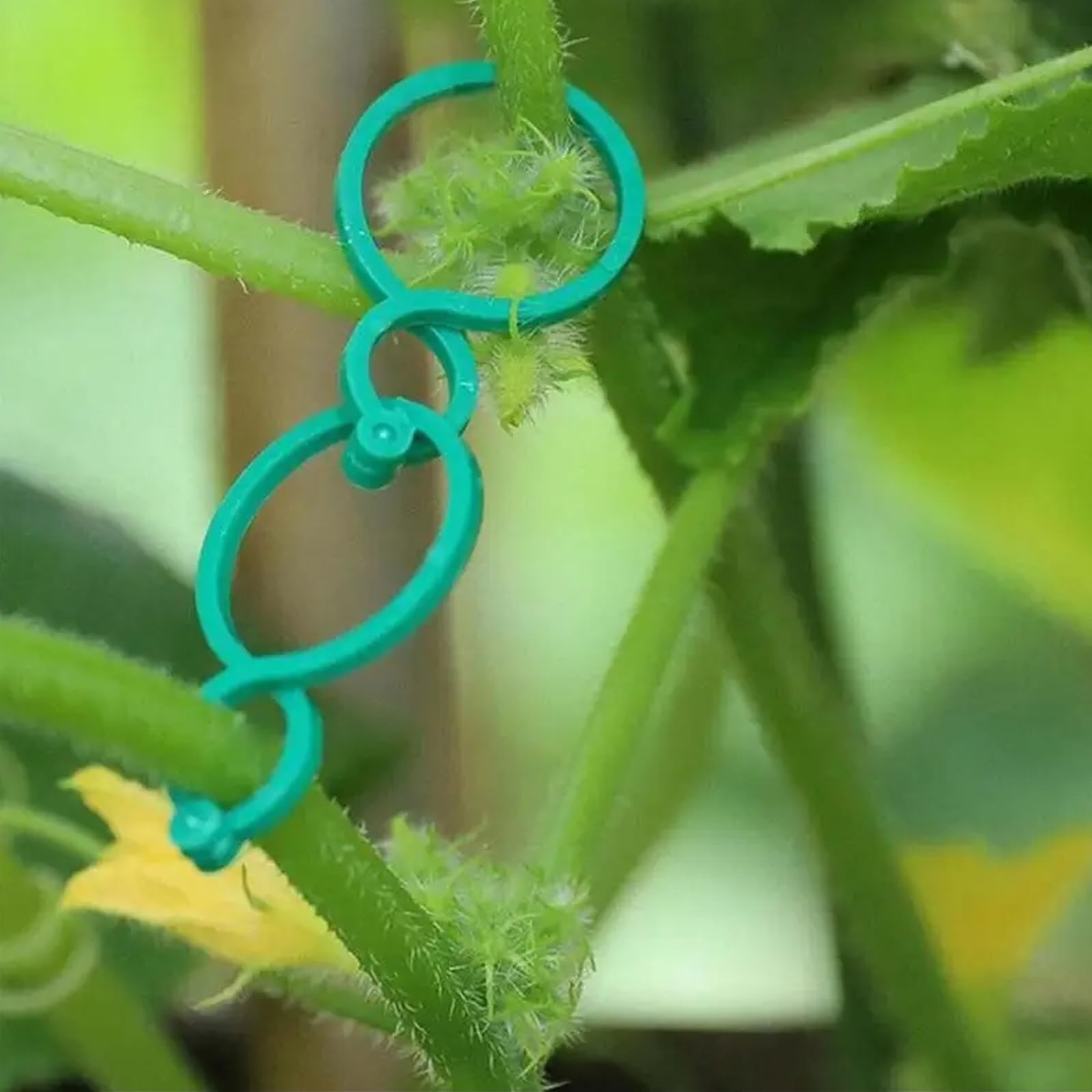 YSDYY 35 Clip per Serra Verde, Clip tonde da Giardino, Clip per Piante, Clip per Tubi da