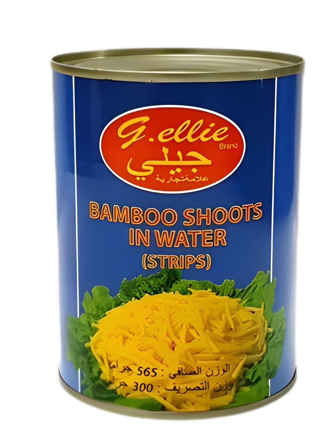 Canned Bamboo Shoot in Strips (2x565G)