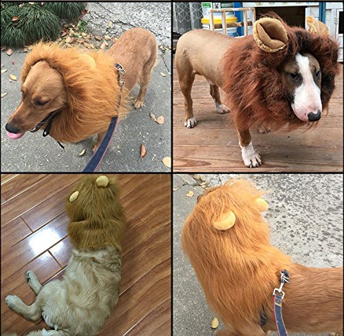 Vivifying Lion Mane For Dog, Adjustable Halloween Dog Lion Costume Wig With Ears For Medium And Large Dog Dress Up (Brown) #TOP5