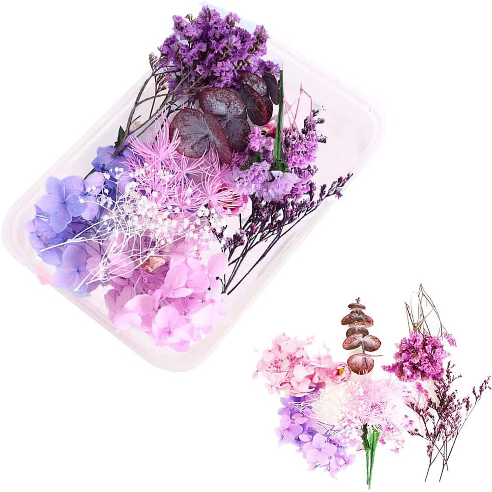 Fleur Sèche Naturelle, 2 Boîte Bouquets Fleurs Séchées, Artisanat