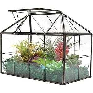 Amazon Com 大型玻璃植物玻璃容器 房屋多肉植物玻璃玻璃玻璃容器套件 附唇部玻璃溫室玻璃容器 適用於植物 黑色1 露臺 草皮與花園
