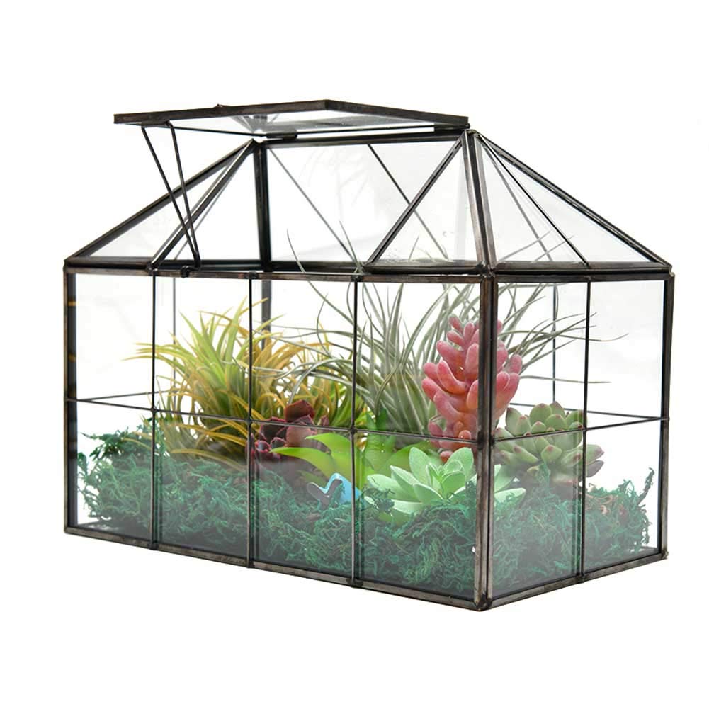Large Glass Plant Terrarium House Succulent Glass House Terrarium
