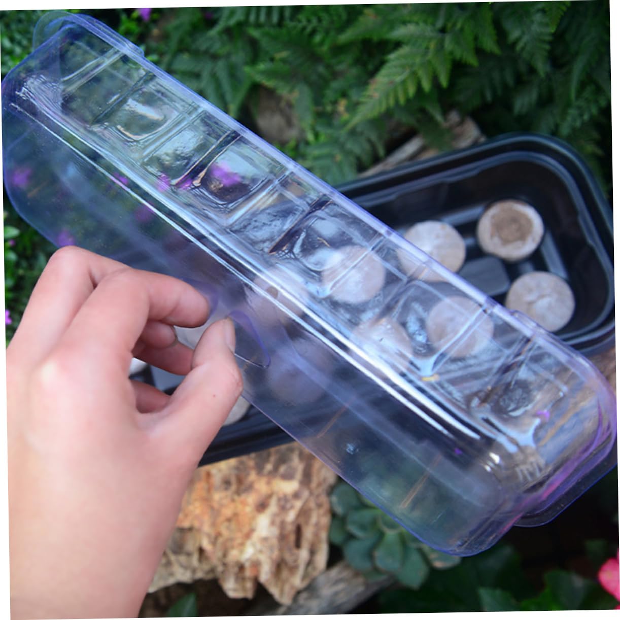 ibasenice 12 Ensembles Plateau de Semis avec Cellules et Couvercle Transparent pour Germination de Plantes et Légumes Kit de Jardinage Pratique sans Substrat