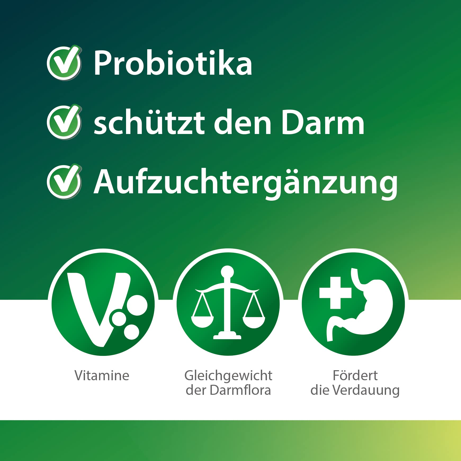 Röhnfried Kükenglück Aufzuchtpräparat (550 g), Kükenfutter mit Vitaminen als Pulver, Aufzuchtfutter für Hühner, Enten, Gänse, Truthühner & Geflügel