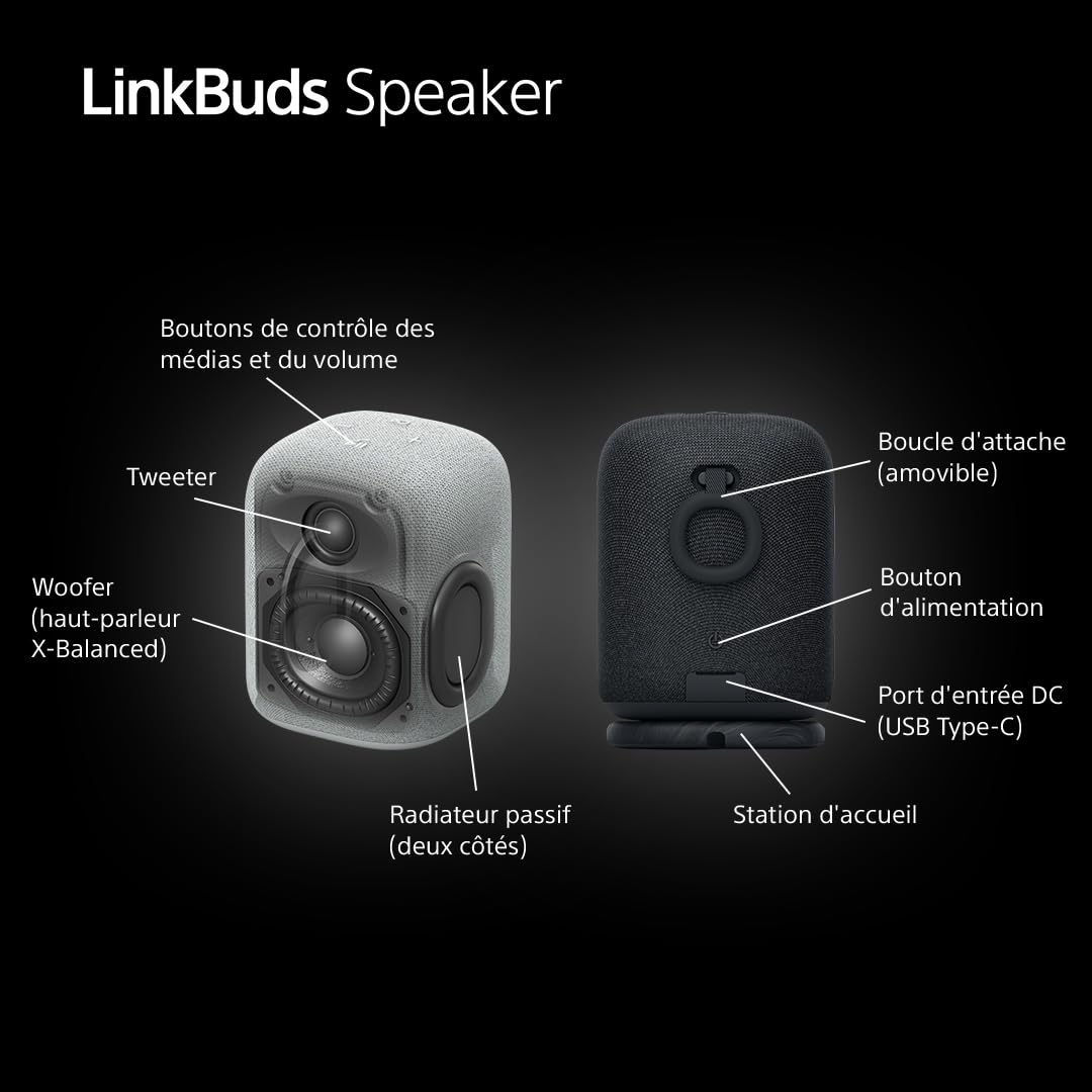 Sony Enceinte LinkBuds - Enceinte Portable sans Fil Bluetooth, IPX4, Résistante à l'eau, Batterie de 25 Heures, Qualité d'Appel Clair, Outdoor, Voyage - Noir