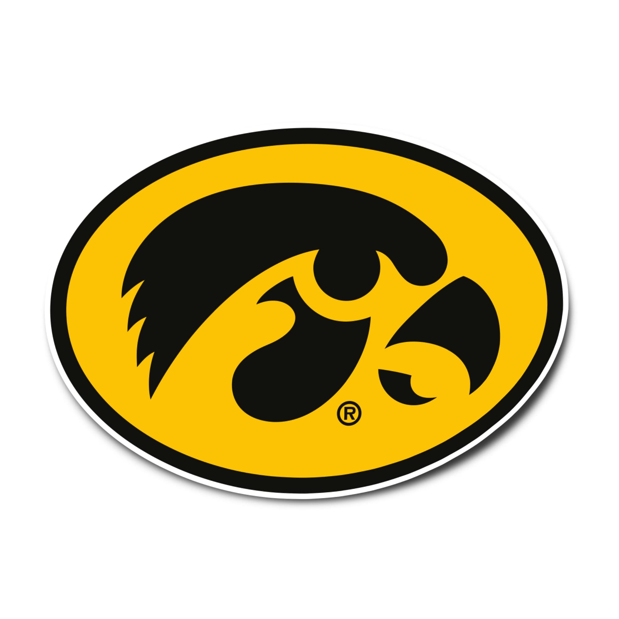 Desert Cactus University of Iowa Hawkeyes Vinyl Decal Laptop Water Bottle Car Scrapbook Sticker (IND 3)