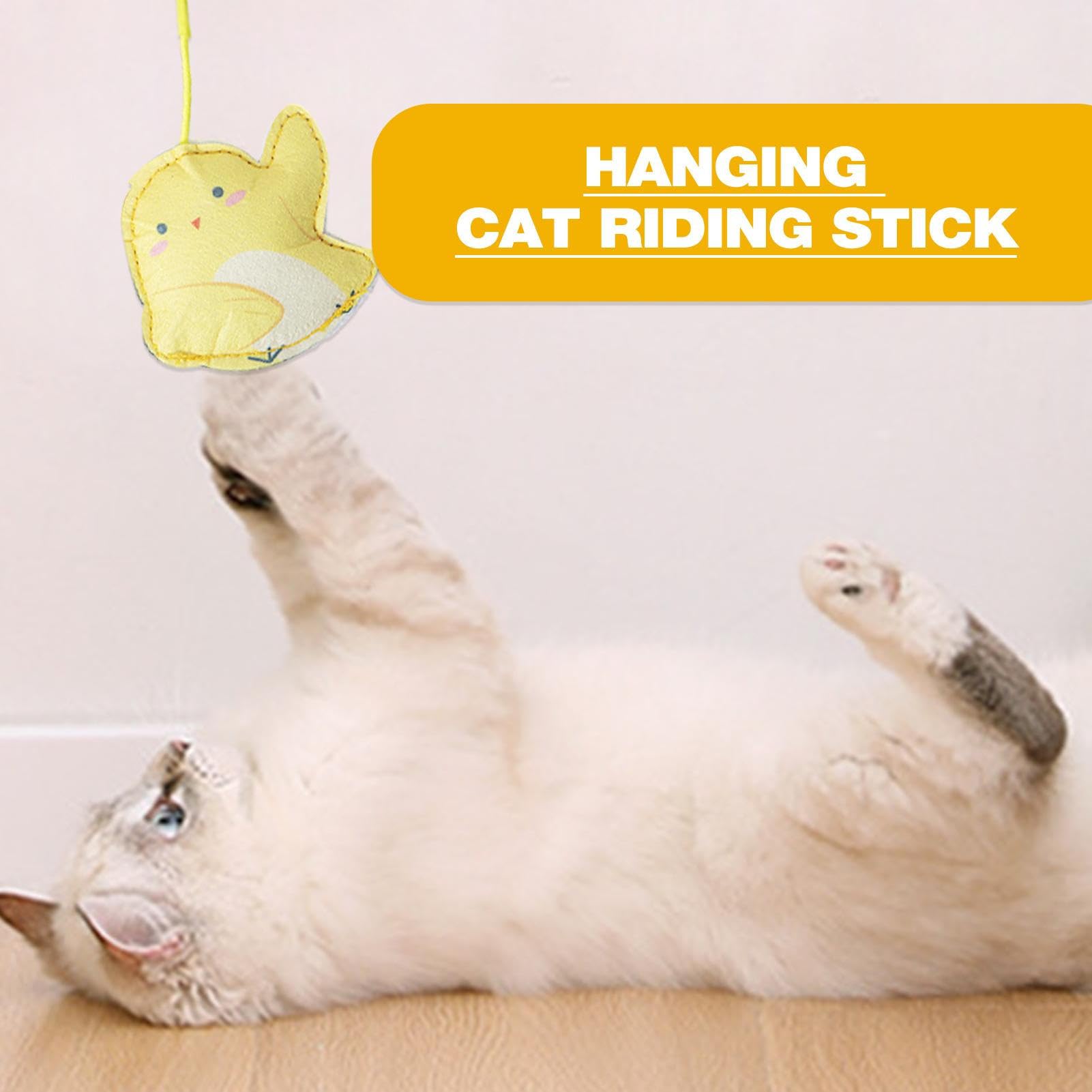 Katzenspielzeug Trrahmen Elastisches Seil Mit Spinne  Automatisches  Katzen Spielzeug Fr Langeweile & Bewegung