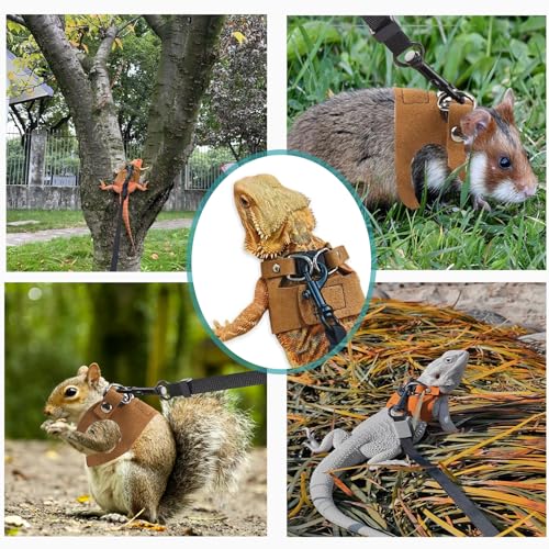 Image of 3 Size Bearded Dragon Leash and Harness Set Adjustable Bearded Dragon Harness with Lizard Traction Rope for Reptile ，Squirrel Ferret Walking Outdoor ，with mini Scooter Toy(Brown)
