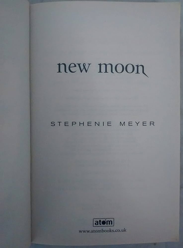 ムーンシュタイナー　作品集　洋書 ムーンシュタイナー作品集洋書