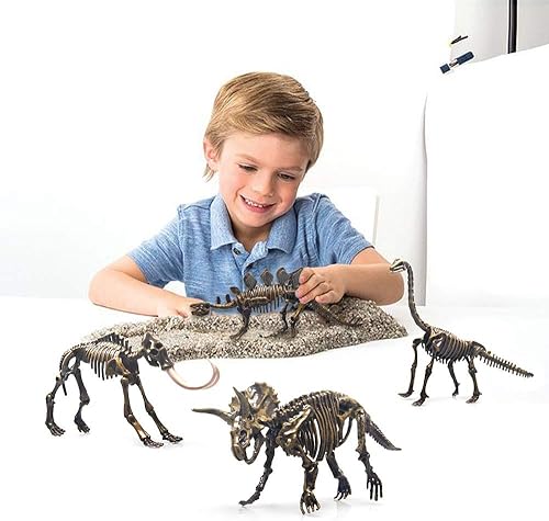 Miniatura 2 de Juego de 5 rompecabezas de esqueleto de dinosaurio diferentes, rompecabezas 3D para adultos, juguetes de dinosaurio esqueleto de bricolaje para