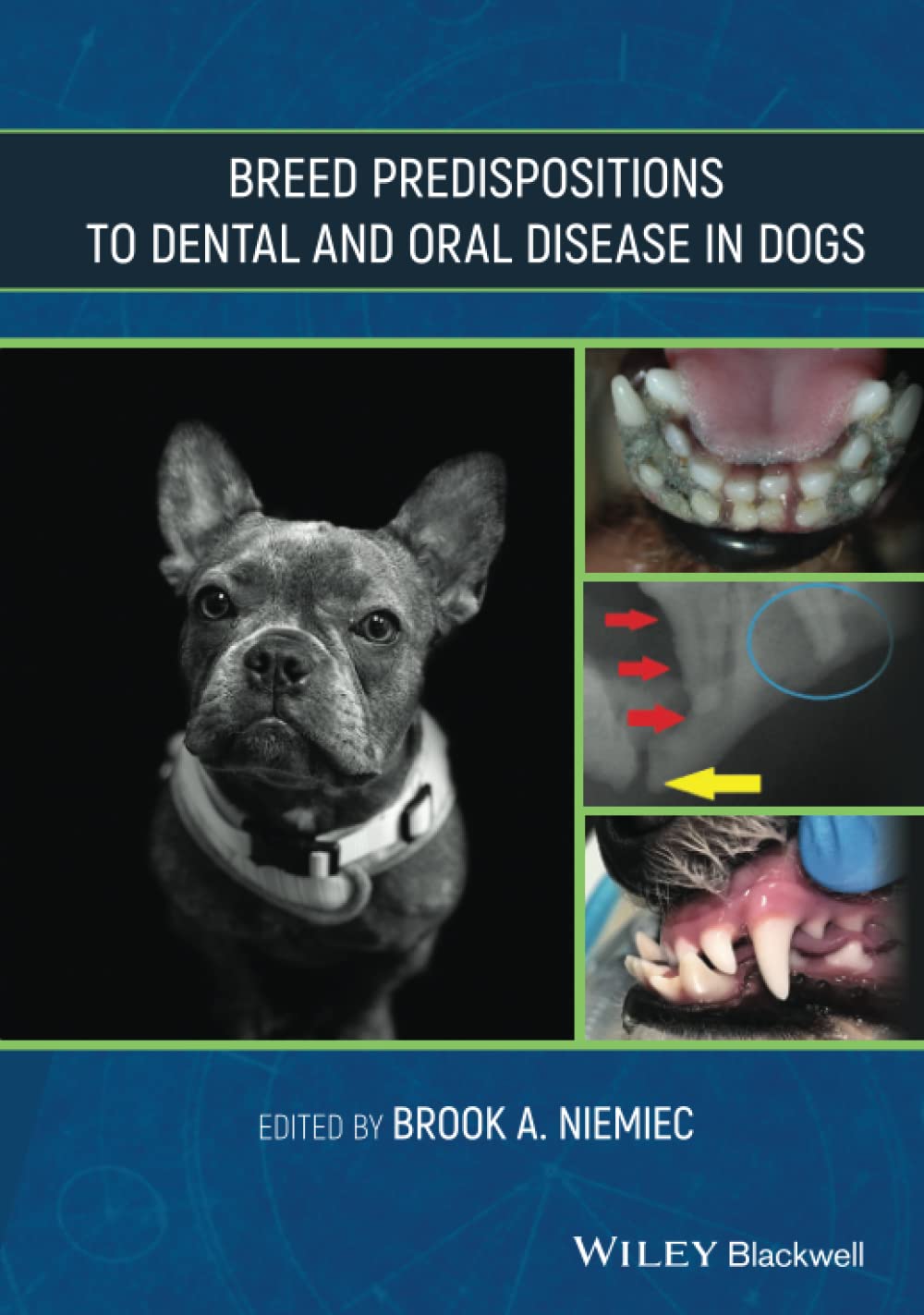 Hereditary Dental and Oral Disease in Dogs 9781119552116 Medicine