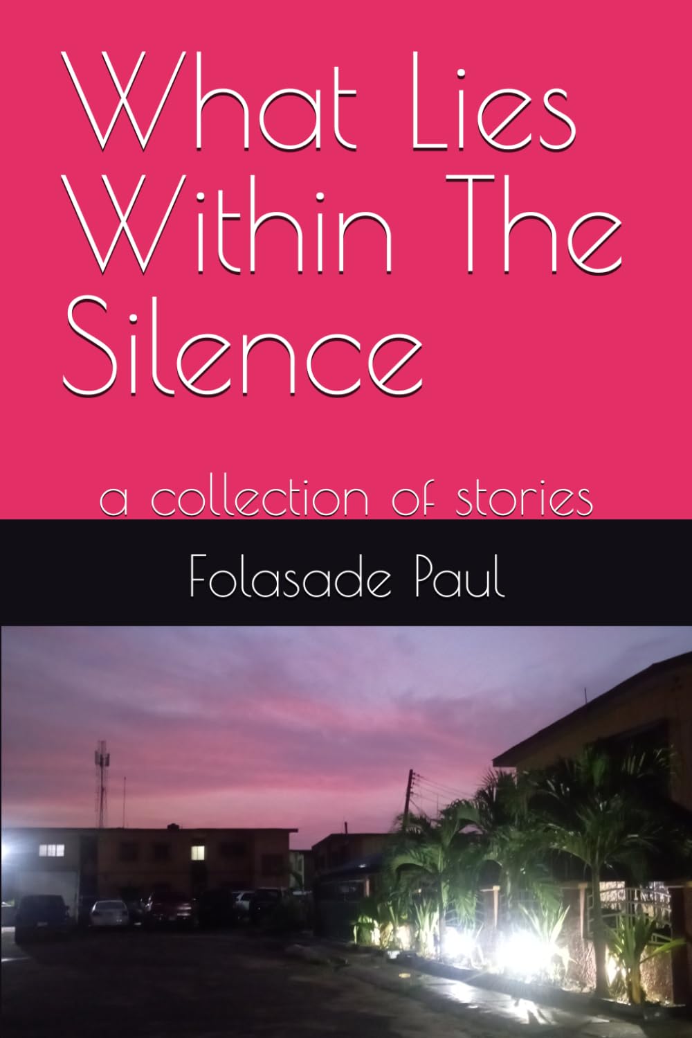 What Lies Within The Silence: a collection of stories