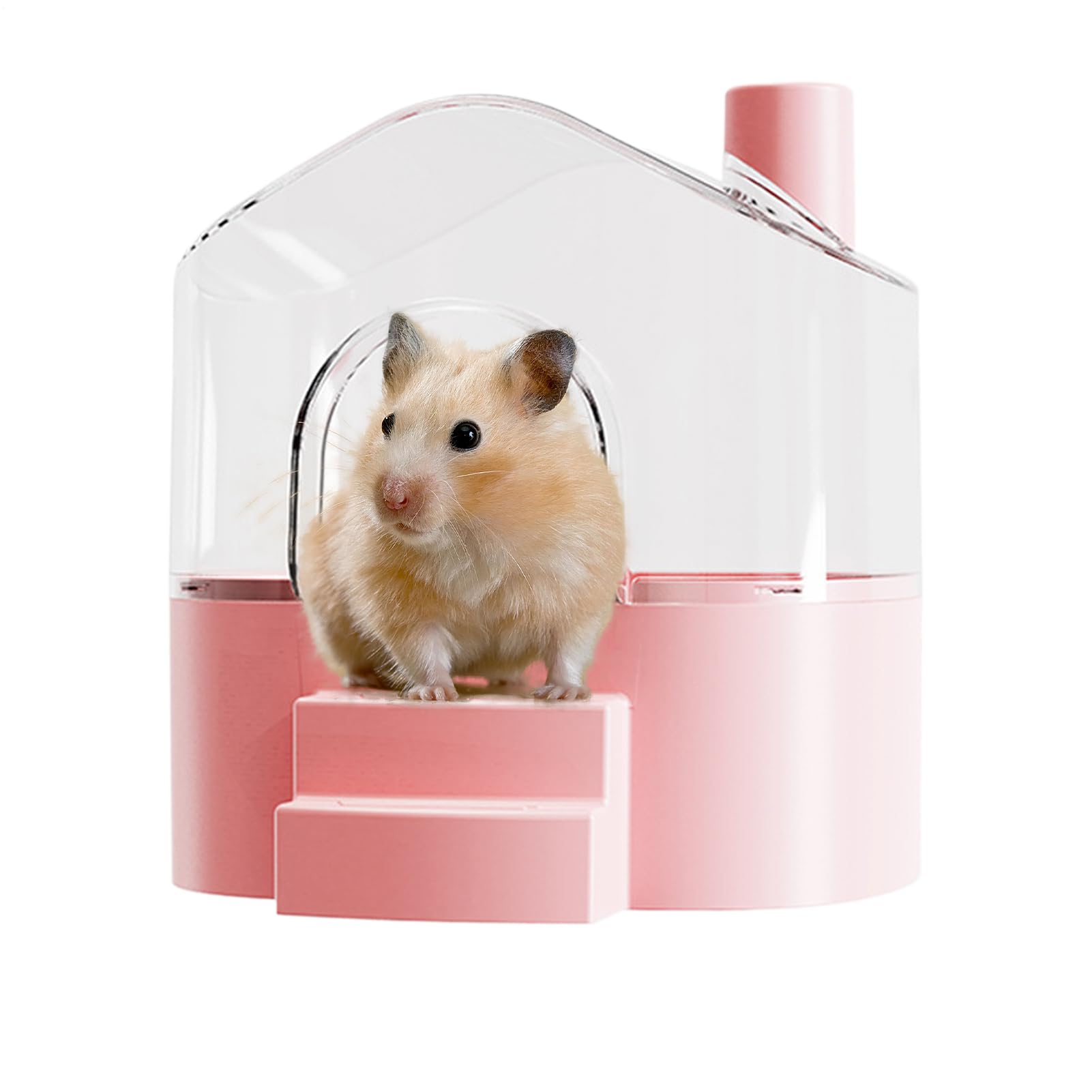 Bac à sable pour hamster grand format transparent pour petits rongeurs