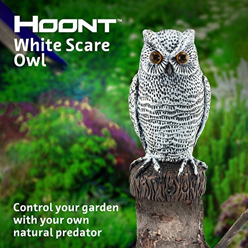 Buy Hoont Scarecrow Realistic Owl with Flashing Eyes and Frightening Sound Motion Activated